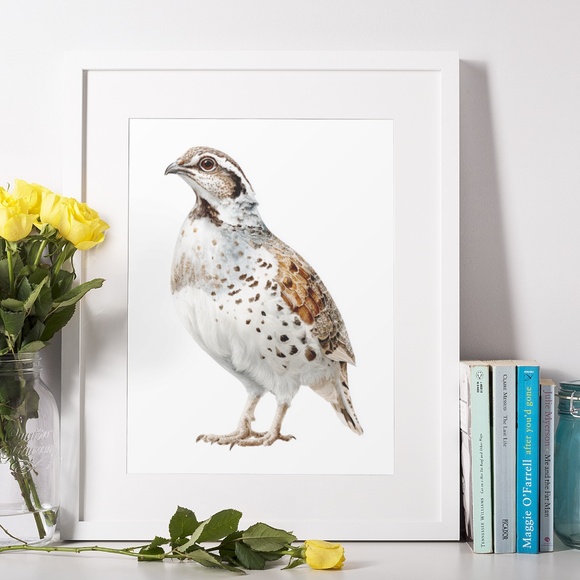 Watercolor Quail Wall Art Print, Unframed - Vibrant Nature-Inspired Home Decor - Picture 6 of 6